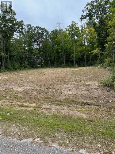 56 Poplar Drive W, Tiny, ON 