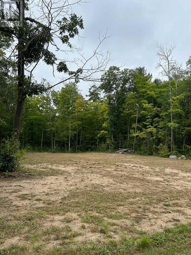 56 Poplar Drive W, Tiny, ON 