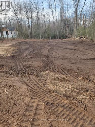 56 Poplar Drive W, Tiny, ON 