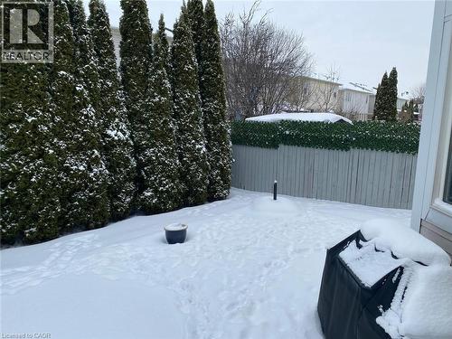 Fenced private backyard - 79 Zieman Crescent, Cambridge, ON - Outdoor