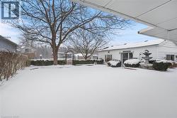 View of yard covered in snow - 