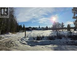 6210 ROBIN ROAD  Horse Lake, BC V0K 2E3