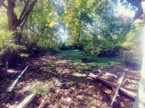 1534 Cawthra Road, Mississauga, ON - Outdoor With View