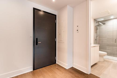 Hall - 101-1330 Rue Olier, Montréal (Le Sud-Ouest), QC - Indoor Photo Showing Bathroom