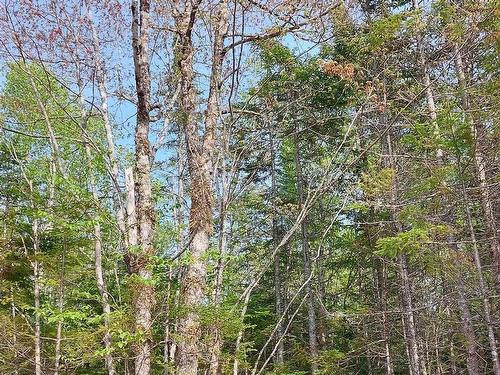 Lot 18 Highway 4, False Bay, NS 