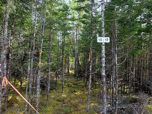 Lot 18 Highway 4, False Bay, NS 