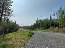 Lot 18 Highway 4, False Bay, NS 
