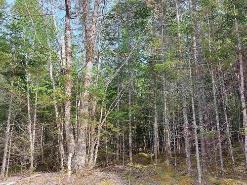 Lot 18 Highway 4, False Bay, NS 