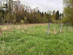 1012 12TH LINE W Trent Hills, ON K0L 1Y0