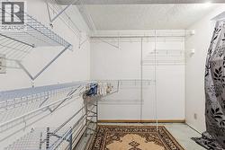 Walk-in closet in basement rec room - 