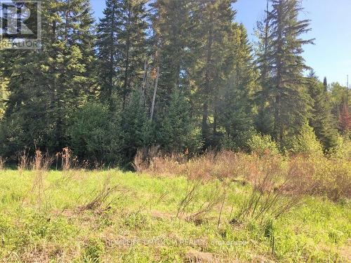 Pcl 8811 N/A, Timmins, ON 