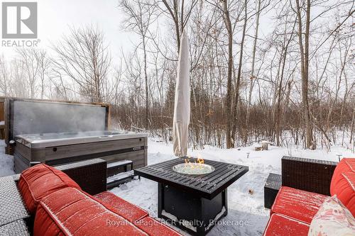 160 Preservation Road, Collingwood, ON - Outdoor