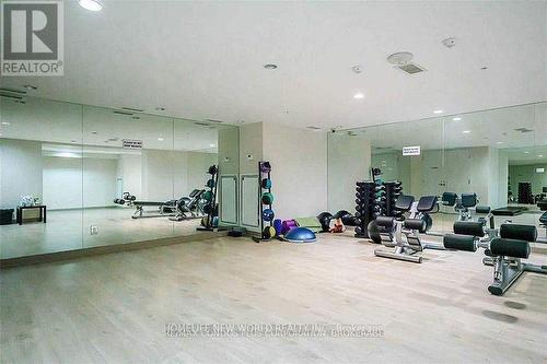 2004 - 295 Adelaide Street W, Toronto, ON - Indoor Photo Showing Gym Room