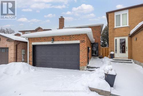 65 Patrice Crescent, Vaughan, ON - Outdoor