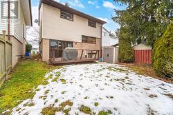 Deck and Garden Shed - 