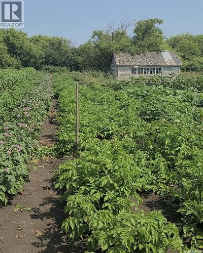 Bowes Acreage, Laird, SK - Outdoor