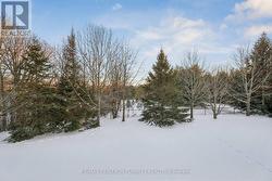 Stunning Four Season Views from All 3 Levels! - 