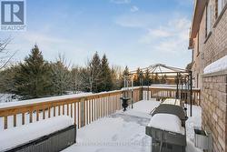 BBQ, Relax or Birdwatch on Huge Deck with Gazebo! - 