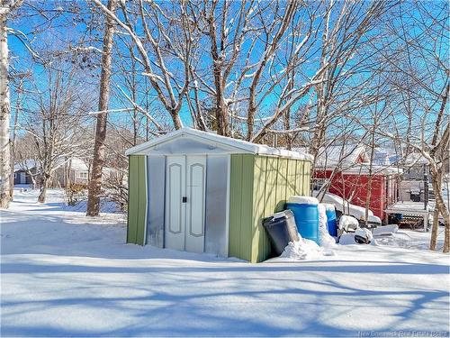 63 Lake Ave, Mcadam, NB 