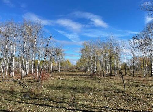 10907 Municipal 42E Road Rd, St Genevieve, MB 