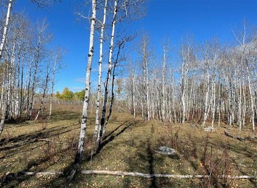 10907 Municipal 42E Road Rd, St Genevieve, MB 