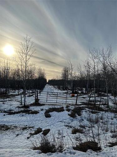 10907 Municipal 42E Road Rd, St Genevieve, MB 