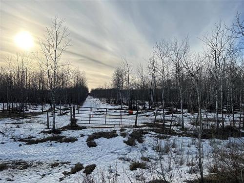 10907 Municipal 42E Road Rd, St Genevieve, MB 