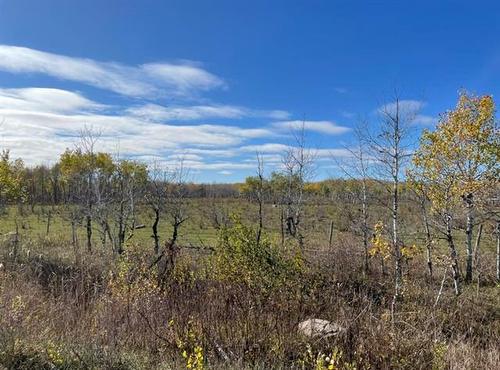 10907 Municipal 42E Road Rd, St Genevieve, MB 