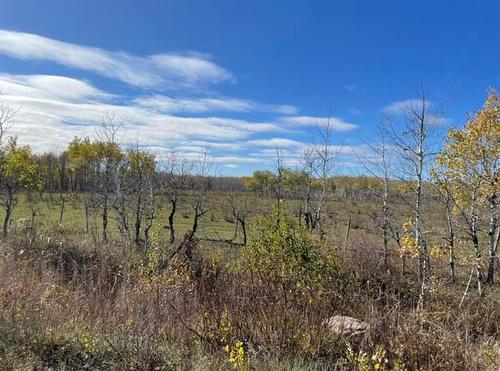 10907 Municipal 42E Road Rd, St Genevieve, MB 