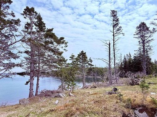 671 South Shore Road, Mitchell Bay, NS 