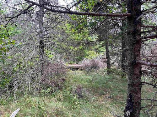 Lot Shore Road E, Hampton, NS 