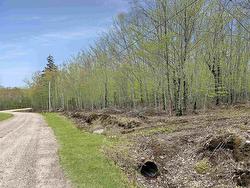 14-C HILLCREST Drive  Dalhousie, NS B0R 1H0