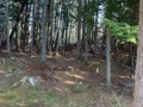 18 Acres Highway 256, West Branch, NS 