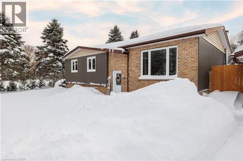 230 Saugeen Street, Grey Highlands, ON - Outdoor