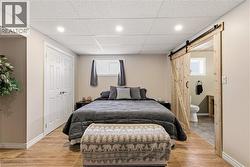 Bedroom featuring a barn door, light wood-type flooring, multiple windows, and a paneled ceiling - 