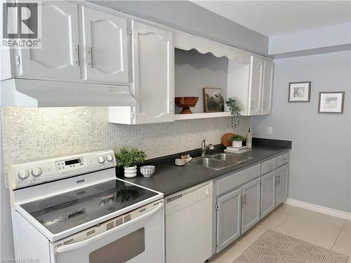 17 Rosanne Crescent, Hamilton, ON - Indoor Photo Showing Kitchen With Double Sink