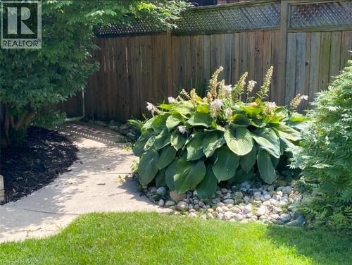 593 Guildwood Place, Waterloo, ON - Outdoor