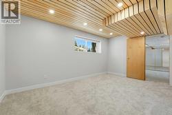Basement bonus room - 