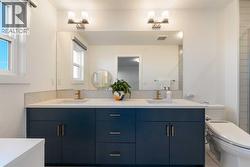 Double Vanity Sink - 