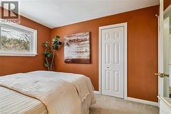 Carpeted bedroom with a closet and baseboards - 