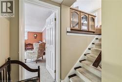 Stairs featuring a textured ceiling, carpet floors, and ornamental molding - 