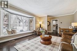 Living room with crown molding, dark wood-style flooring, and a textured ceiling - 