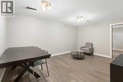 Basement Living Room - 