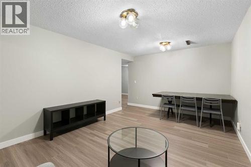Basement living room - 173 Gordon Drive Sw, Calgary, AB - Indoor