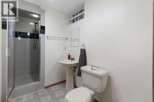 Basement bathroom - 173 Gordon Drive Sw, Calgary, AB - Indoor Photo Showing Bathroom