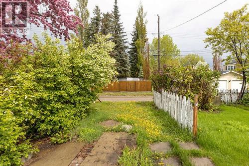 Backyard - 173 Gordon Drive Sw, Calgary, AB - Outdoor