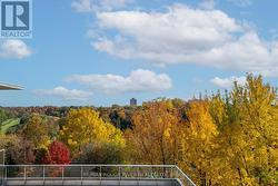 Stunning Fall views - 