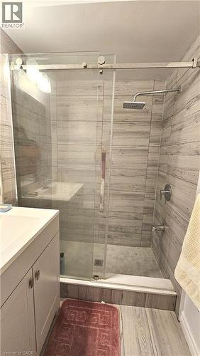 285 Borden Avenue S, Kitchener, ON - Indoor Photo Showing Bathroom