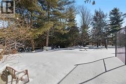 View of yard covered in snow - 