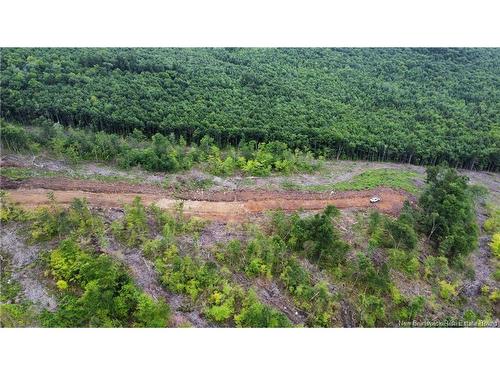 Lot 14 Crabbe Mountain, Central Hainesville, NB 